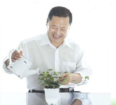 이창호 화분.png